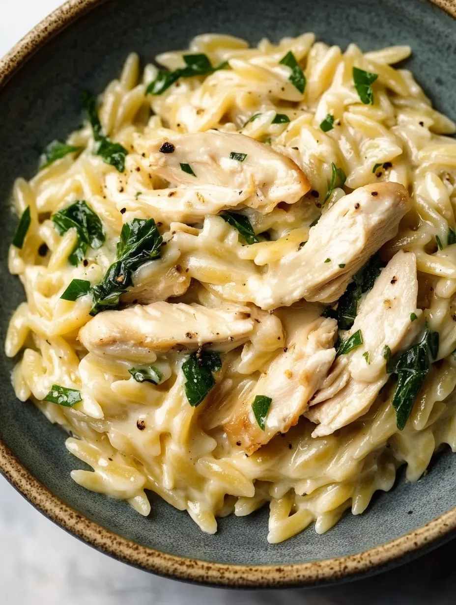 Boursin Orzo mit Hähnchen selbstgemacht