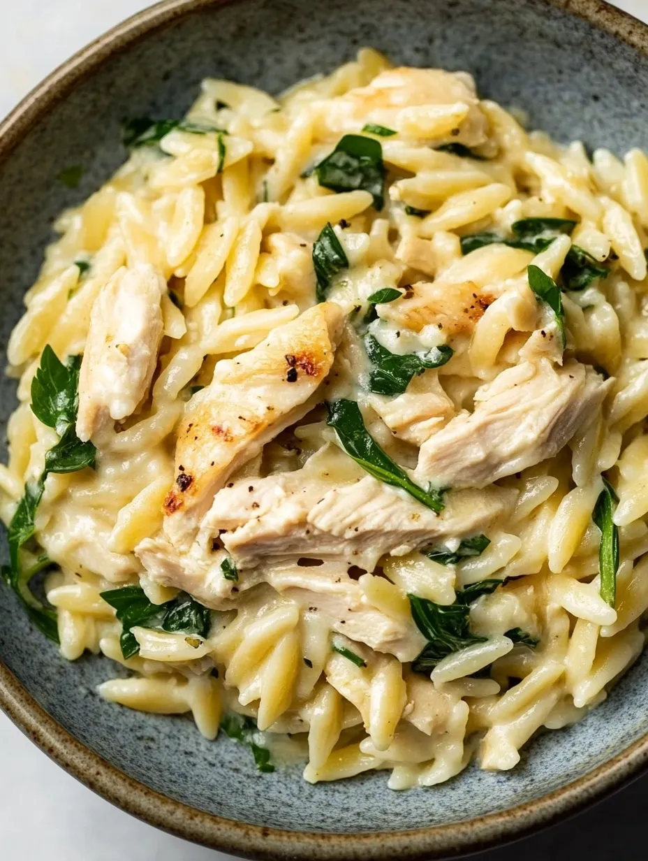 Boursin Orzo mit Hähnchen selbstgemacht
