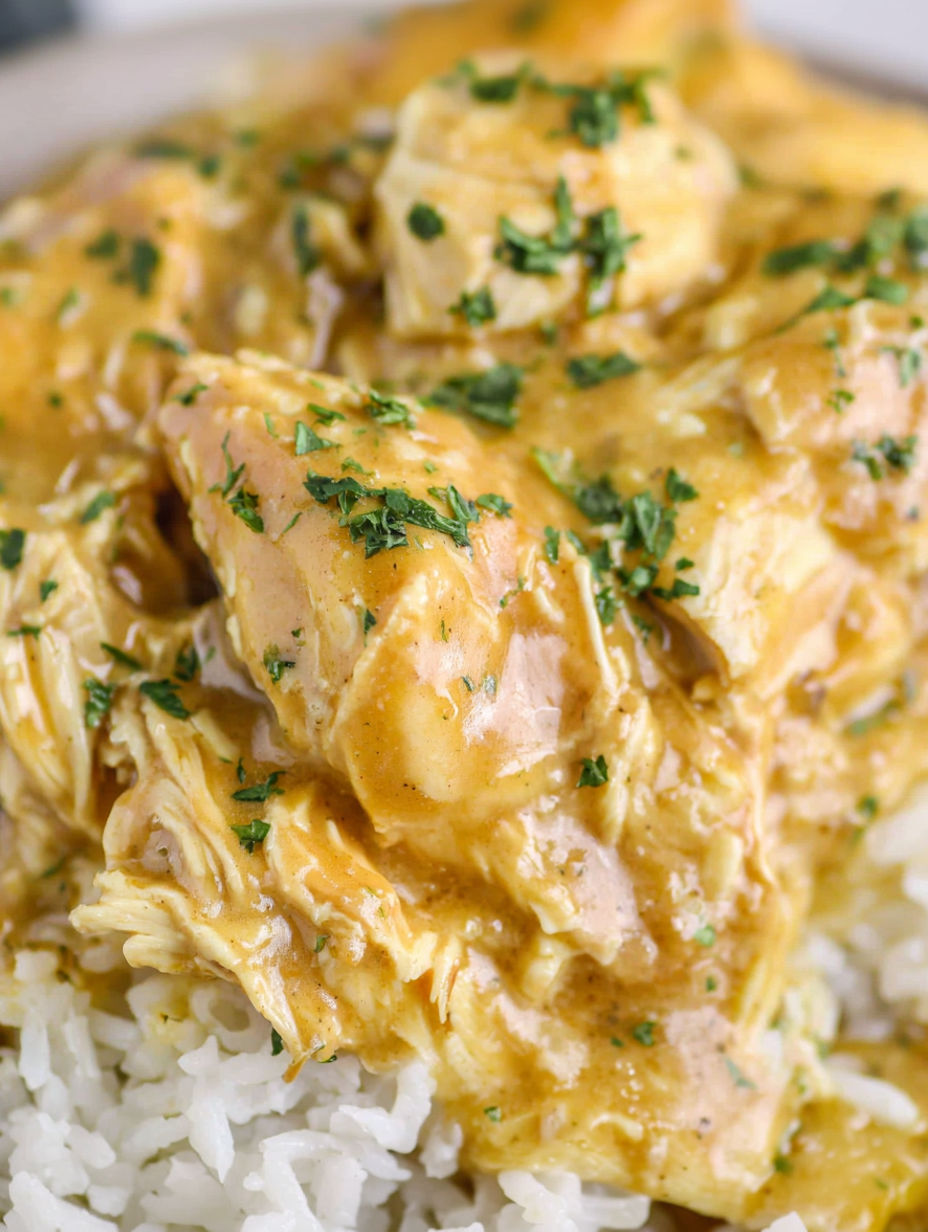 Eine Nahaufnahme von köstlichem Hühnchen mit Soße aus dem Slow Cooker.