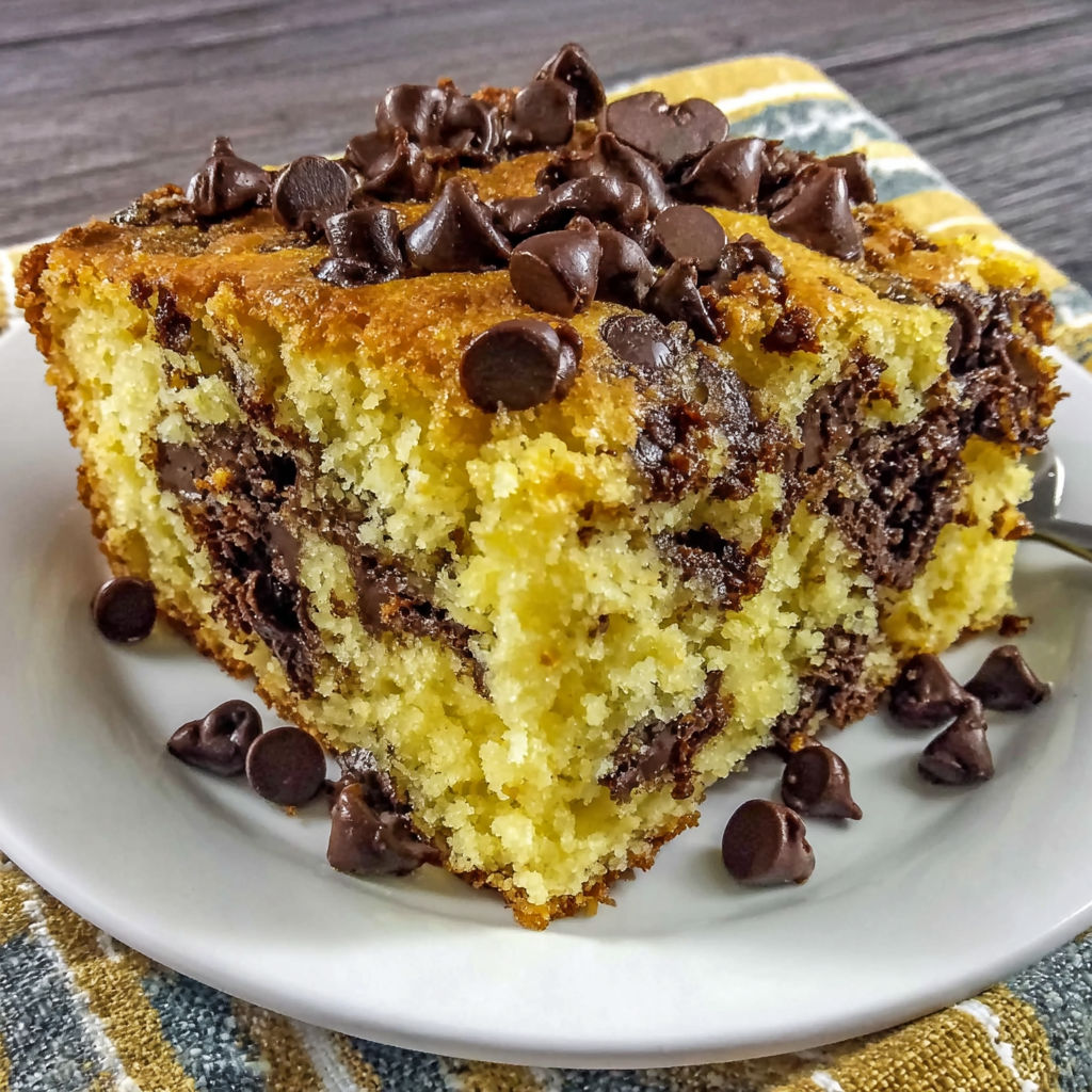 A piece of chocolate chip cake on a plate.