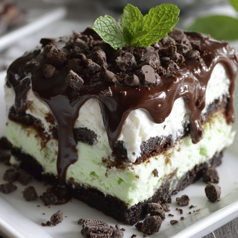 A slice of mint chocolate chip ice cream cake.
